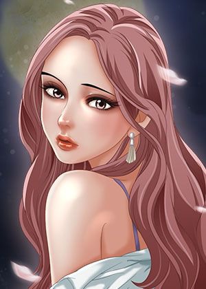 钢之炼金术师 封面